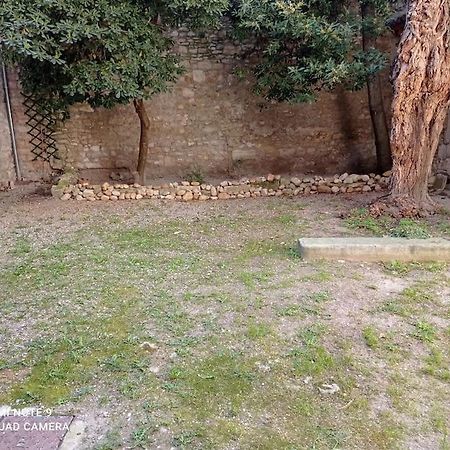 شقة Loft Vue Palais Des Papes أفينيون المظهر الخارجي الصورة